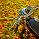 Illustration for article titled Fall Shooting Challenge Gallery 3